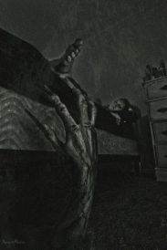 1a16e4507d69c0a03c4d2fb068ad13b7