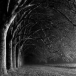 5f0b5697043f8af5da44f8363bde63bc