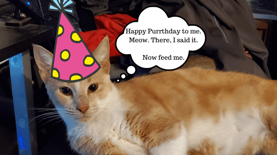 Trouble’s 5-Year Birthday Stream Is This&nbsp;Sunday!!!