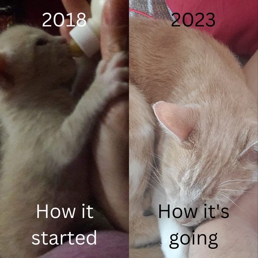Trouble’s 5-Year, “How It Started/How It’s Going”&nbsp;Picture