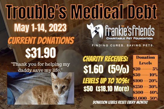 Trouble’s Medical Debt: the First Half of May 2023&nbsp;Update