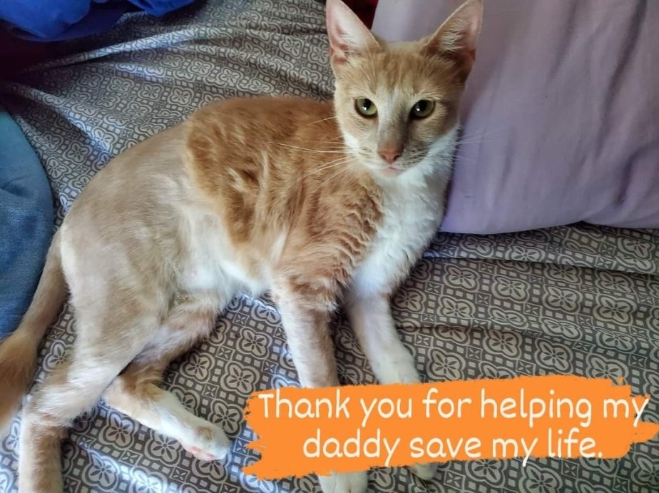 Fundraising For Trouble’s Medical Debt Will Include a Special Charity&nbsp;Donation